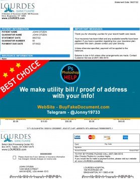 New York Lourdes Sample Fake utility bill
